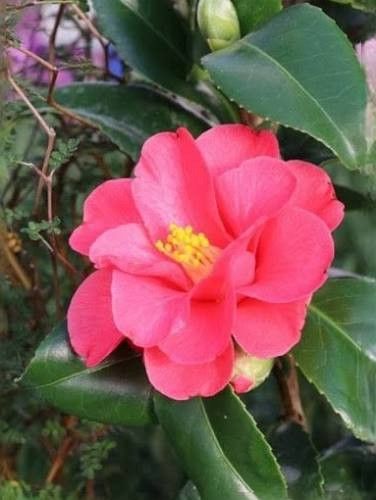 Destockage & Invendus