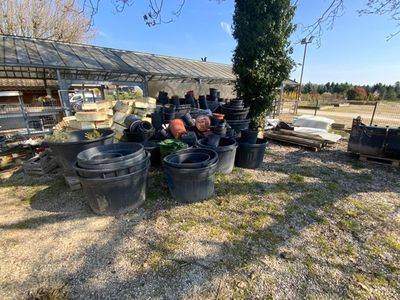 de nombreux seaux remplis de plantes posés dans l'herbe