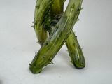 a glass sculpture of a cactus plant on a white surface