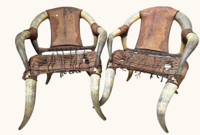 deux chaises ornées de cornes, placées l'une à côté de l'autre