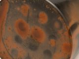 a close up of a metal object with rust on it