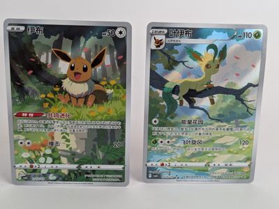 Deux cartes Pokémon sont posées côte à côte sur une surface blanche