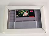 a picture of a nintendo game in a picture frame
