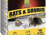une boîte représentant des rats et des écureuils en pleine action avec une souris