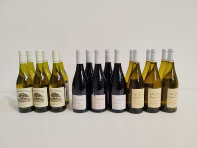 plusieurs bouteilles de vin sont alignées sur une surface blanche