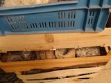 une caisse bleue remplie de cailloux, posée par terre