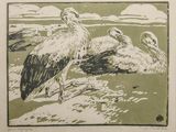 two birds that are standing in the sand