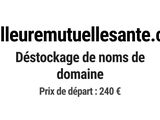 Photo 1/1 du lot