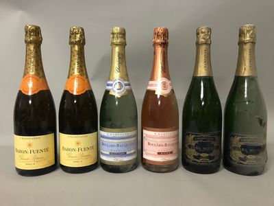 2 Blle CHAMPAGNE JOEL MICHEL BRUT SA