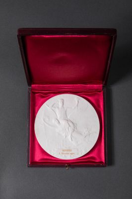 a close up of a medal in a red box on a table