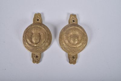 pair of antique brass door handles