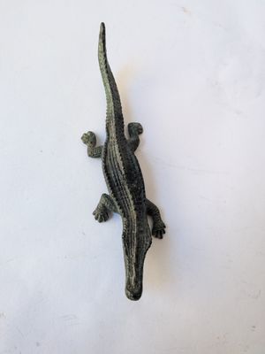 a small lizard that is sitting on a white surface