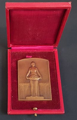 une médaille d'or dans une boîte rouge posée sur une table noire