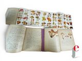 an open book with a bunch of mushrooms on it