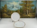 a painting of a mountain in the background and a plate in the foreground