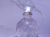 une bouteille en verre transparent sur laquelle est représenté un oiseau