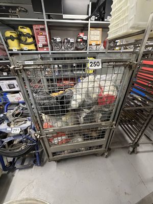a chicken in a cage in the middle of a store