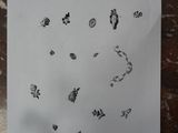 a piece of paper with a drawing on it