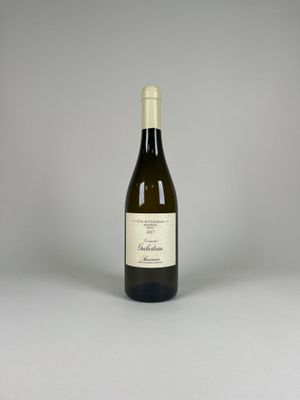 la bouteille de vin est posée sur une surface blanche