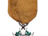 gros plan d'une médaille avec un ruban sur fond blanc
