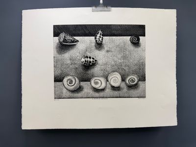 une photo en noir et blanc représentant des coquillages posés sur une feuille de papier