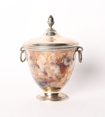 un vase en argent muni d'un couvercle, posé sur une surface blanche