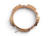 an image of a close up of a gold bracelet on a white surface