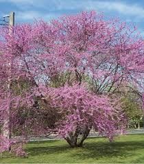 Destockage & Invendus