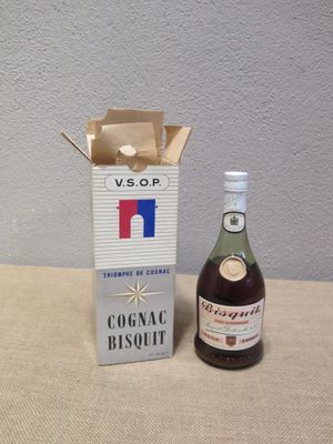 Cognac BISQUIT Dubouché Fine Champagne dans une boîte (70 mm…