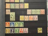 a picture of a collection of stamps on display in a case
