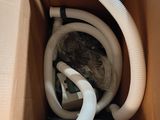 un chat qui se trouve à l'intérieur d'une boîte avec un tuyau