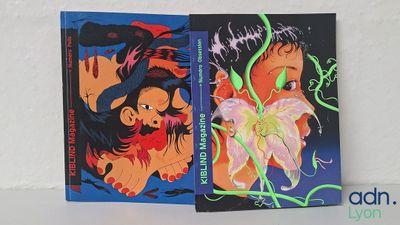 Lot de 2 magazines - KIBL - 77 - 79 - Occasion - Ce lot chez…