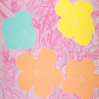 quatre fleurs roses, jaunes, bleues et orange sur un fond rose