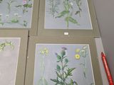 four pictures of wildflowers displayed on a table