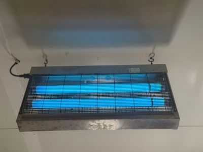 a blue light that is hanging from the ceiling