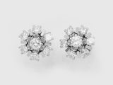 a pair of diamond earrings on a white background