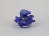 a small blue flower that is sitting on a white surface