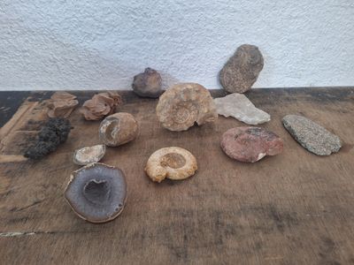 de nombreux types de roches différents posés sur une table en bois
