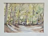 une aquarelle représentant un chemin de terre dans les bois