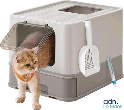 a cat that is standing in a litter box
