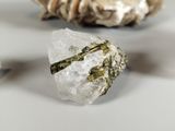 a piece of rock that is sitting on a table next to some shells