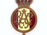 an image of a metal badge with a crown on top of it