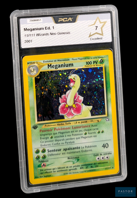 gros plan d'une carte pokemon dans un étui en plastique