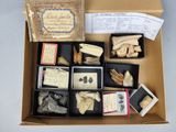 une boîte contenant divers objets sur une table