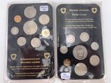 deux paquets de pièces d'argent et de bronze se trouvent dans des sachets en plastique