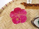a pink flower sitting on top of a table next to a comb