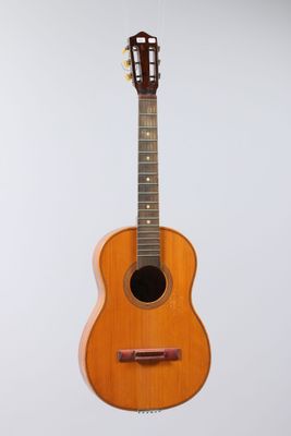 an image of a guitar hanging on a wall with a white background