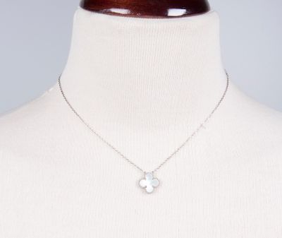 gros plan d'un torse de mannequin portant un collier