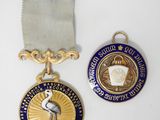 two medals are shown on a white surface with a blue ribbon