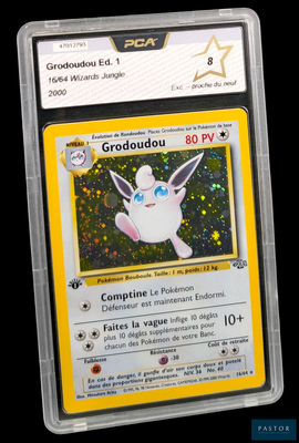 La carte Pokémon se trouve dans un étui en plastique sur un fond noir.